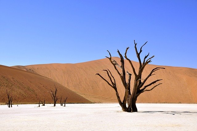 砂漠の画像